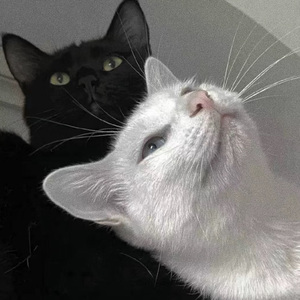 廖承宇被5个男子3p在线
